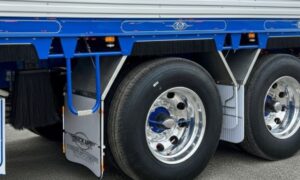 Vorderansicht eines Lkw mit blauer und weißer Anhängerkombination